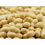 2020黄豆老品种非转基因散称250g农家自种沂蒙山大豆做豆腐打豆浆